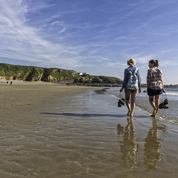 Anglesey Farm Accommodation